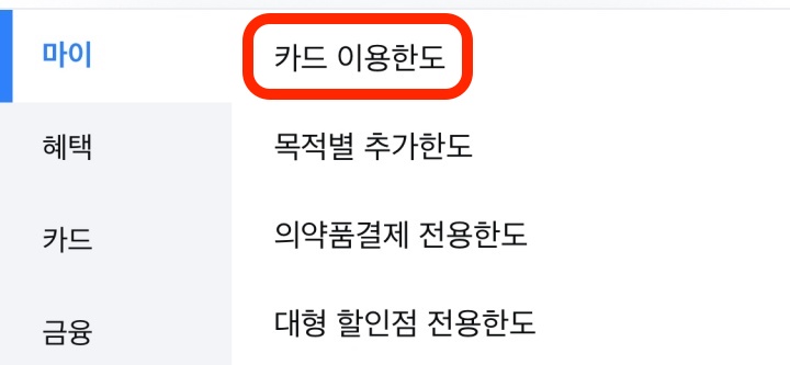 삼성카드 한도상향하는 방법 - 보물창고