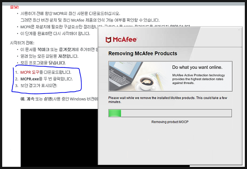 McAfree(맥아피) 백신 강제 제거