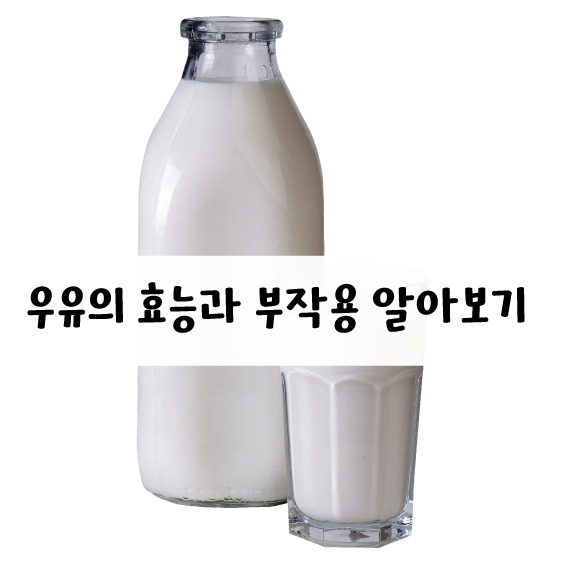 우유의 효능과 부작용 알아보기 🥛