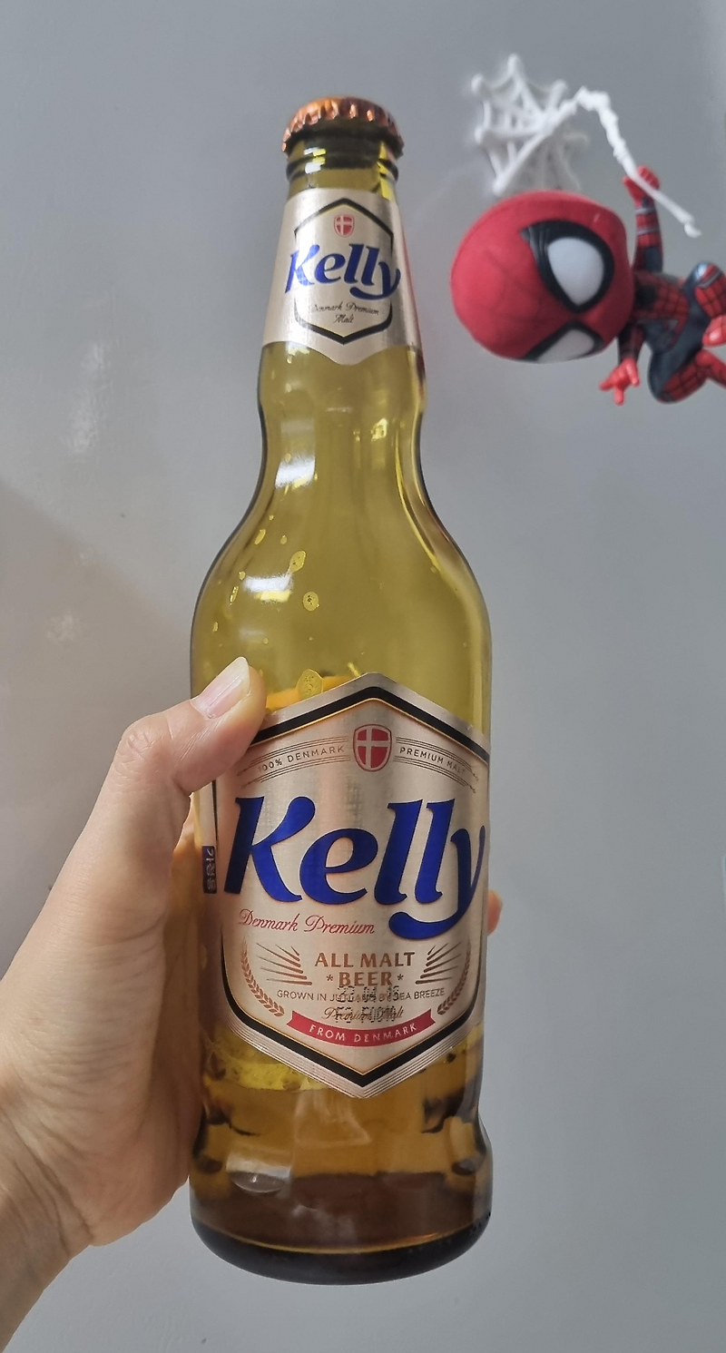 켈리 맥주 kelly 내돈내산 후기