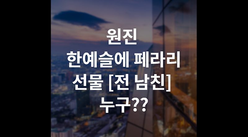 원진 한예슬에 페라리 선물 전 남친 디와이홀딩스 부회장 누구??