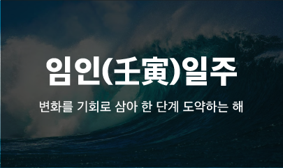 [사주] 2025년 을사년 임인일주의 운세 / 임인일주 신년운세와 조언