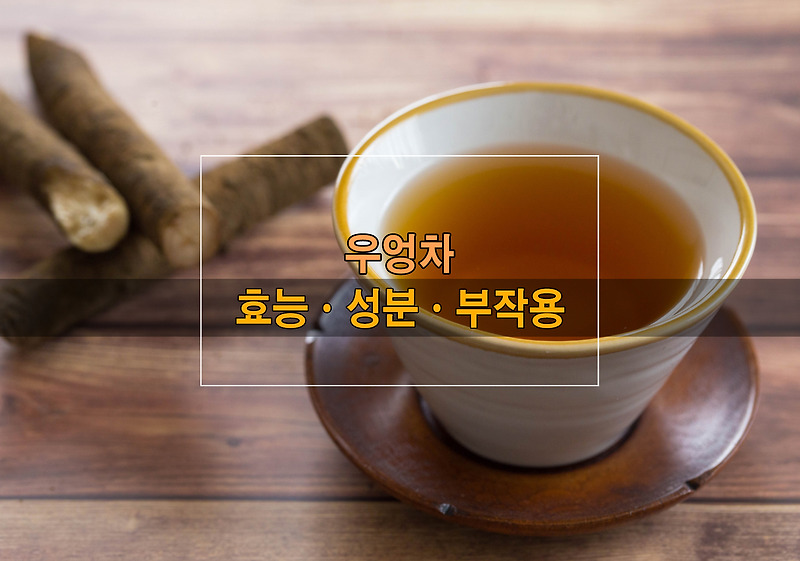 우엉차 효능ㆍ성분ㆍ부작용ㆍ먹는 팁