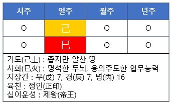 [사주명리] 기사일주(己巳日柱)