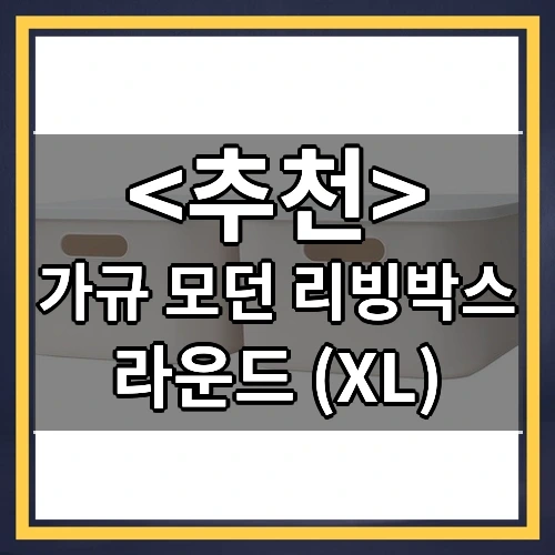가규 모던 리빙박스 추천