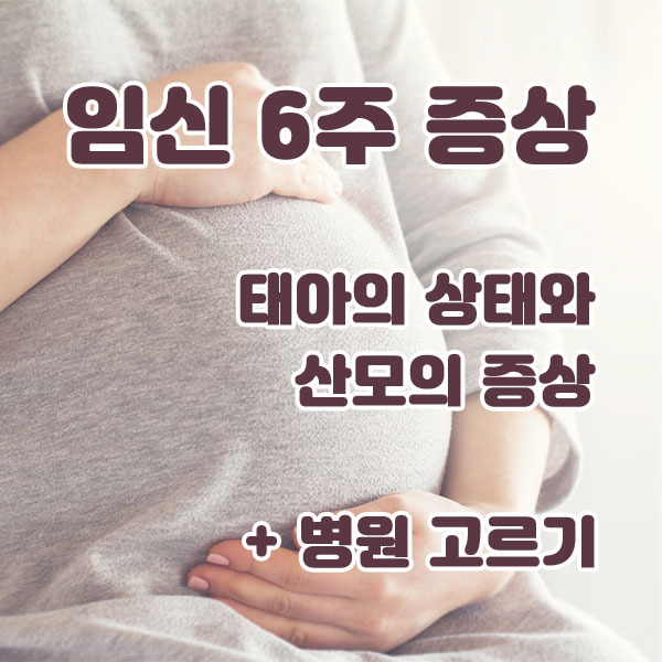 임신 극초기, 임신 6주 - 태아의 상태와 임신 6주 증상 + 병원 고르기 :: ppodu-story 님의 블로그