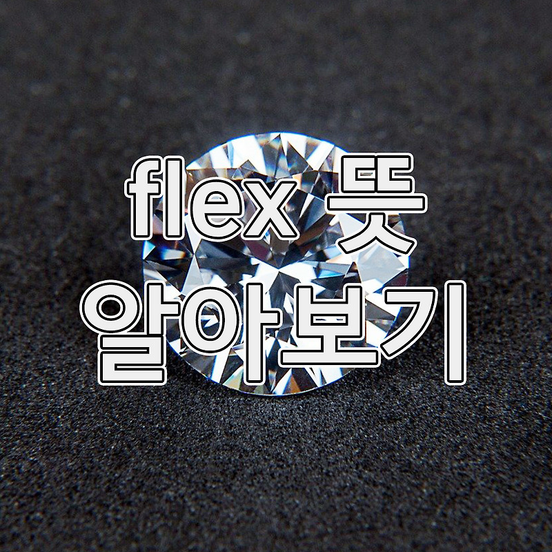 한방에 정리되는 인싸용어 flex 뜻 (플렉스 뜻) 알아보기