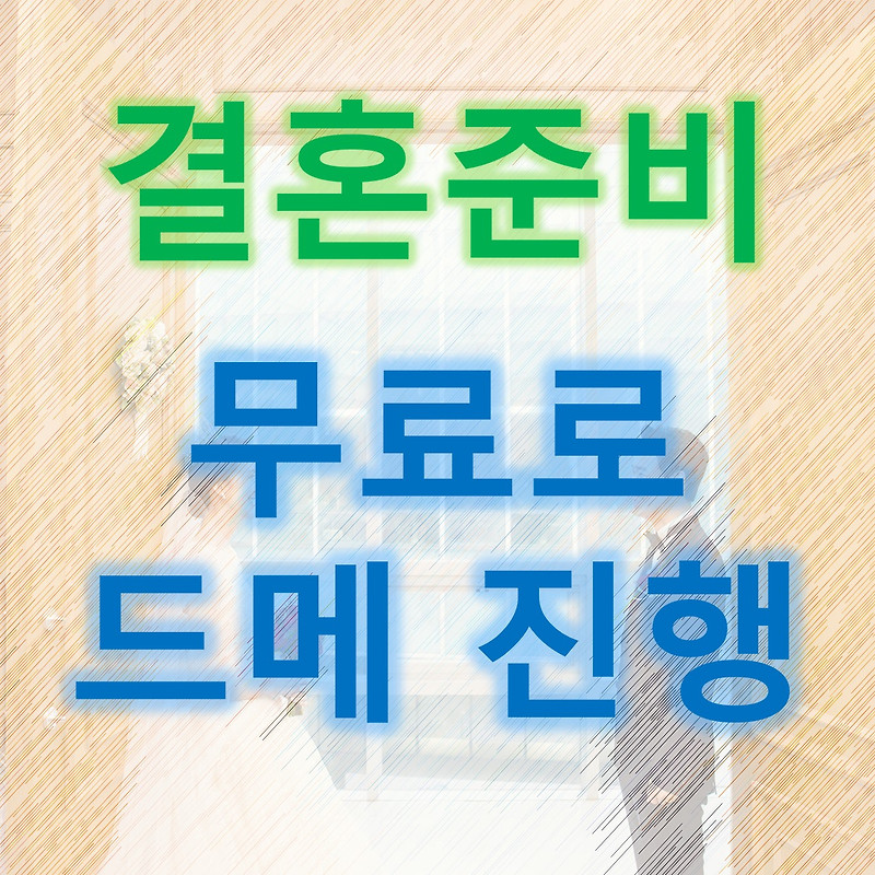 [결혼준비] 7. 드메 패키지 무료 진행(다이렉트 포인트 활동)