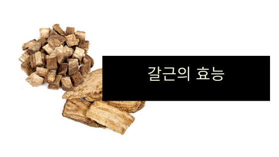 칡의효능, 부작용, 효과 - 갈근의 효능 효과 부작용