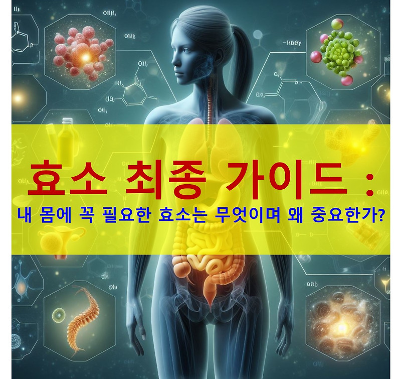 효소 최종 가이드 : 내 몸에 꼭 필요한 효소는 무엇이며 왜 중요한가?