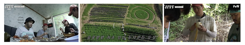 콩콩팥팥  수교 유미 정수교 와이프 이유미