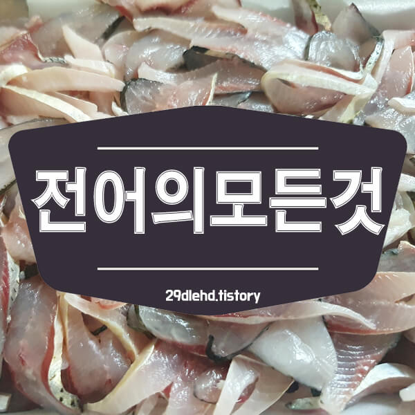 전어철 전어 1kg 가격 정리