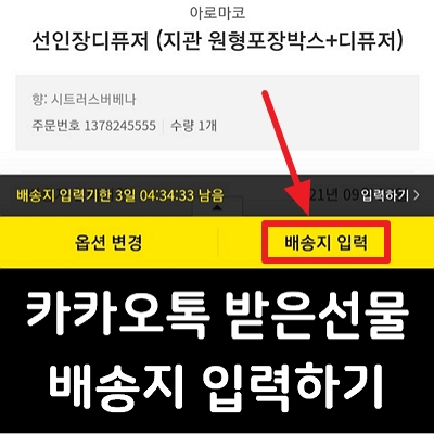 카카오톡 받은선물 배송지 입력 및 옵션 선택하기