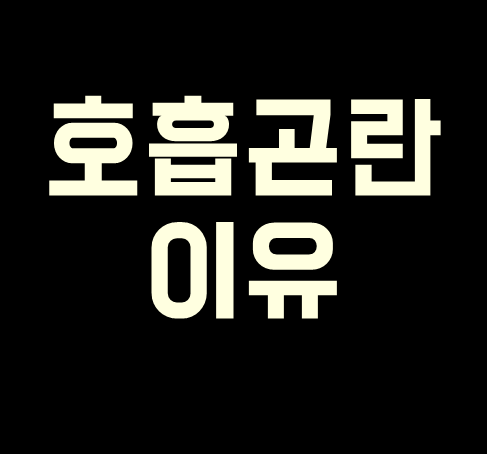 건강한 생각