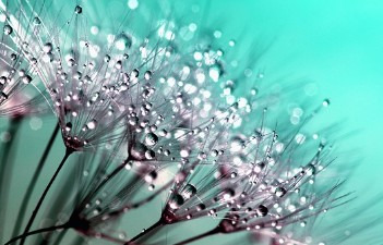 네이버앱 방문기록 조회 및 쿠키 삭제