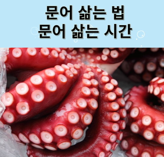 문어 삶는 법, 문어 삶는 시간 알아보고 맛있게 드세요!