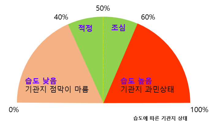 자녀방, 왜 습도 관리를 해야하는가? 습도에 따른 기관지 상태