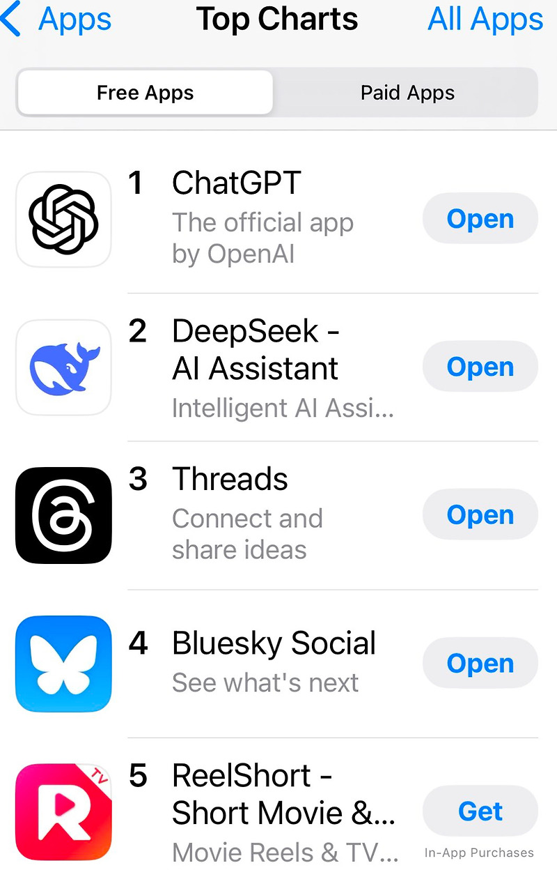 DeepSeek 앱에 대해