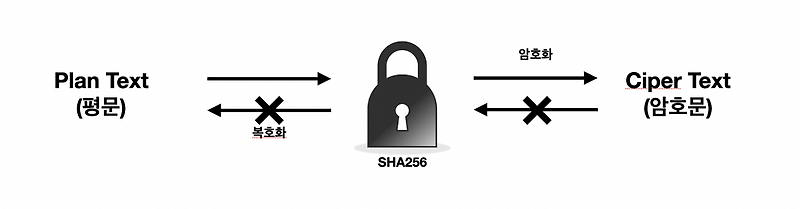 Password Encoder로 비밀번호 암호화 처리해보기