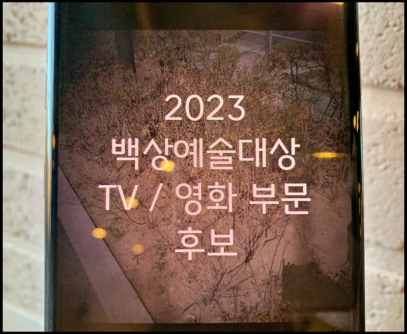2023 백상예술대상 후보, 우영우 vs 더 글로리 2파전?