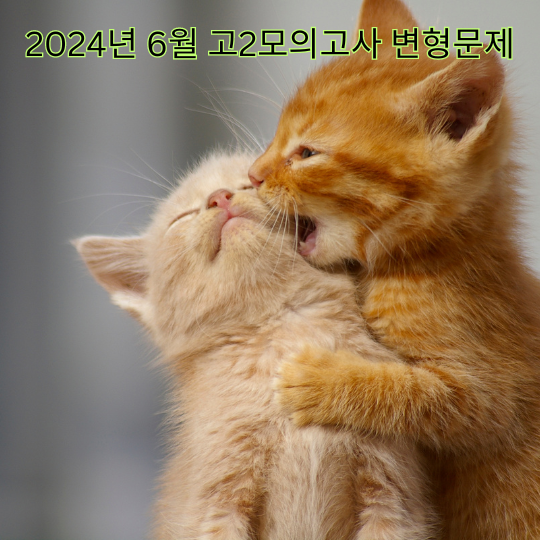 2024년 6월 고2 모의고사 변형문제 (35번)