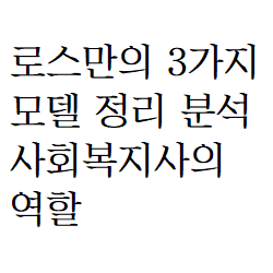 지역사회복지론 : 로스만의 3가지 모델 정리 분석 사회복지사의 역할