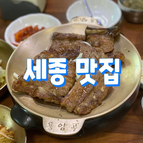 세종 맛집을 알아보기 추천 장소 7곳