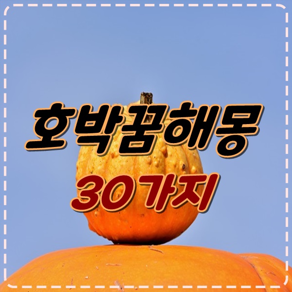 호박 꿈해몽 30가지