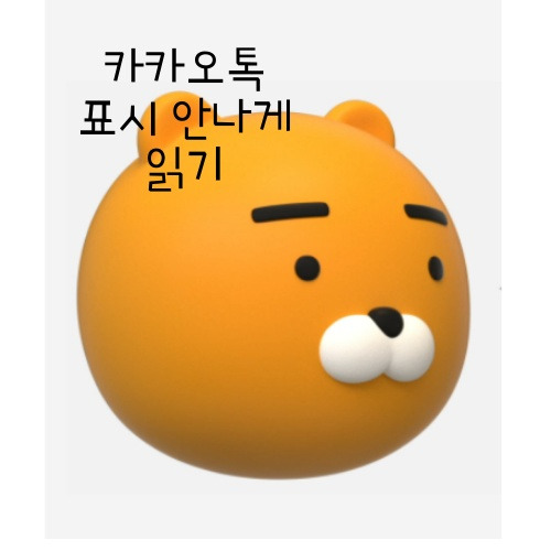 카카오톡 문자 표시 안나게 읽는 방법