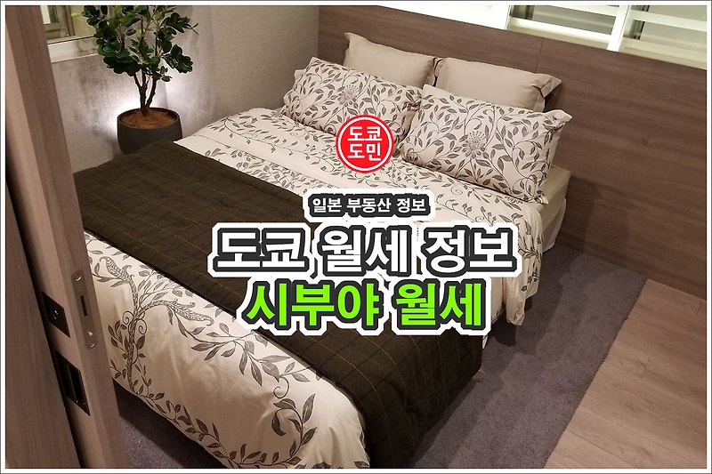 도쿄 시부야 월세 가격정보 (2022년기준)