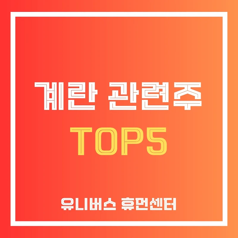 계란 관련주 TOP5, 국내 증시에서 투자자들이 주목하는 주요 종목