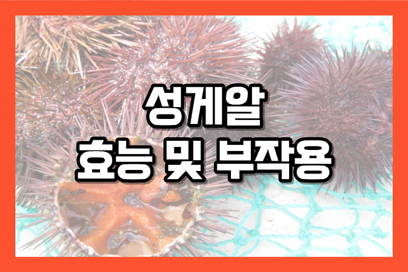 성게알 우니 효능 및 부작용
