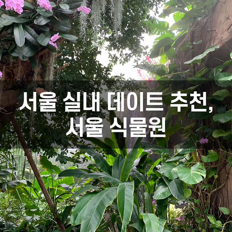 서울 실내 데이트 추천, 서울 식물원
