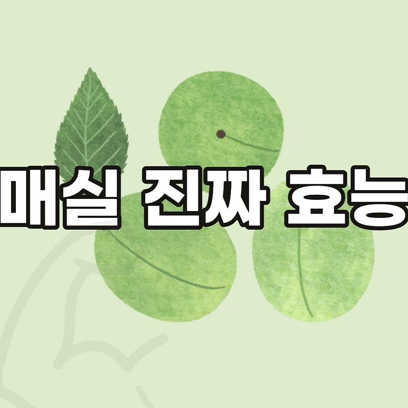 매실 효능 효과 그리고 매실청 요리법 부작용 그렇다면 황매실? - 건강정보