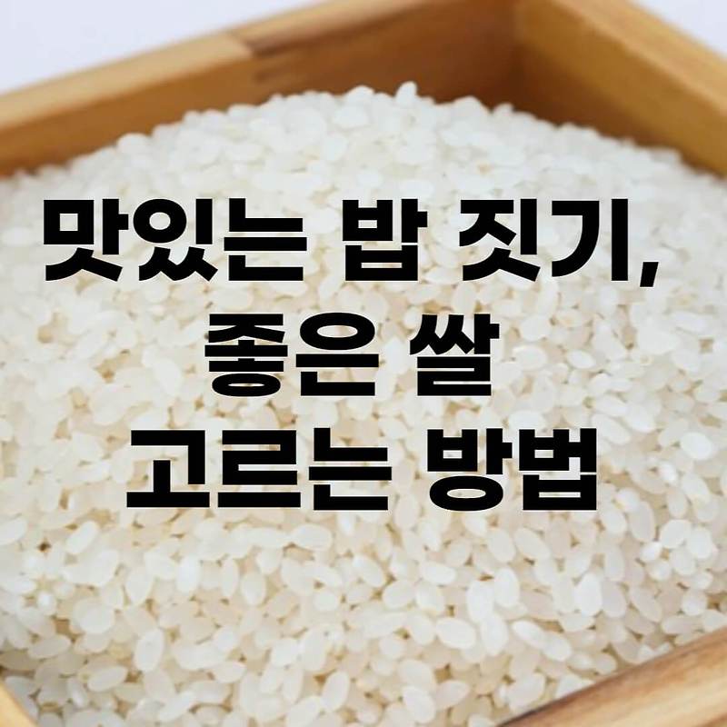 맛있는 밥 짓기, 좋은 쌀 고르는 방법