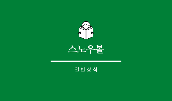 스노우볼(스노볼) 뜻, 스노우볼 효과, 스노우볼이란?