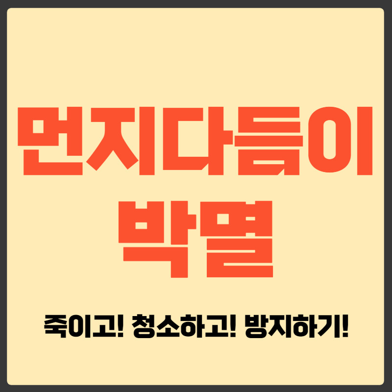 먼지다듬이 - 세상의 모든상식:)