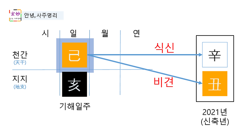 2021년 신축년 운세(기해일주)