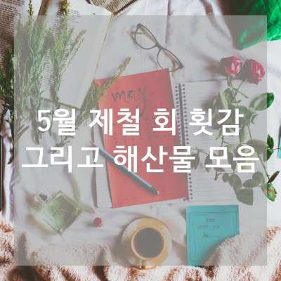 5월 제철 회 횟감 그리고 해산물 - AllisHere