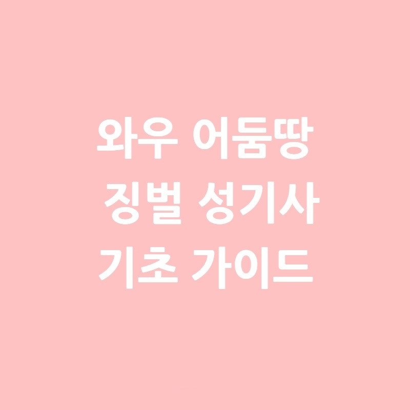 와우 어둠땅 징벌 성기사 기초 가이드