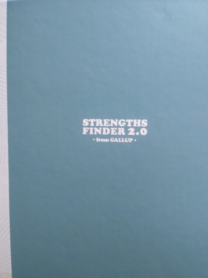 [강점혁명]갤럽(Gallup) 강점 검사 해본 후기 Strengths finder 2.0