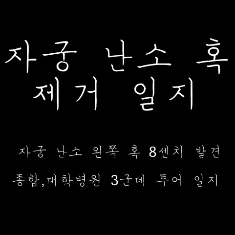 나의 자궁내막증 이야기 | 복강경 난소혹 제거술 후기 | 여성 유산균 추천