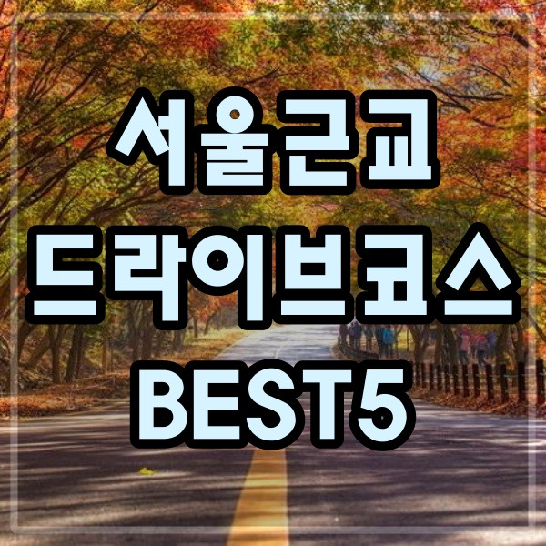 서울 근교 드라이브하기 좋은곳 BEST5