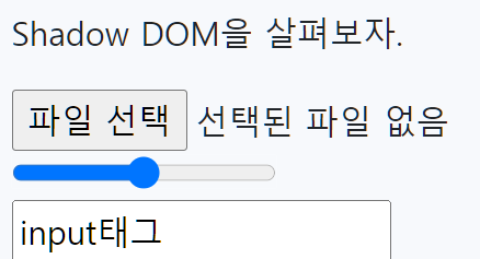 [HTML] Shadow DOM - 숨겨진 요소들 변경하는 법