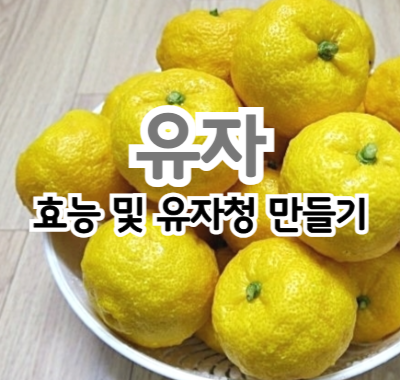 유자 효능 및 유자청 만들기