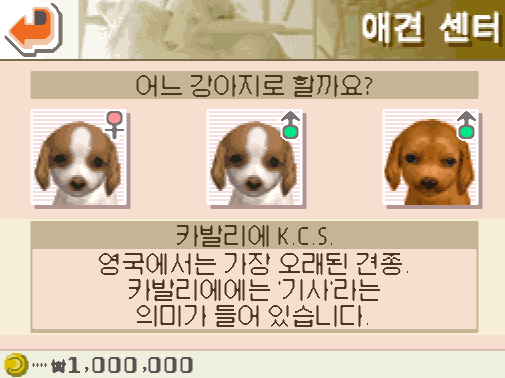 (KOR - 닌텐도 DS 한글판) 닌텐독스 치와와 & 친구들
