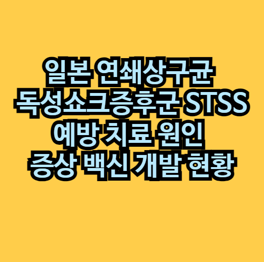 일본 연쇄상구균 독성쇼크증후군 STSS 예방 치료 원인 증상 백신 개발 현황