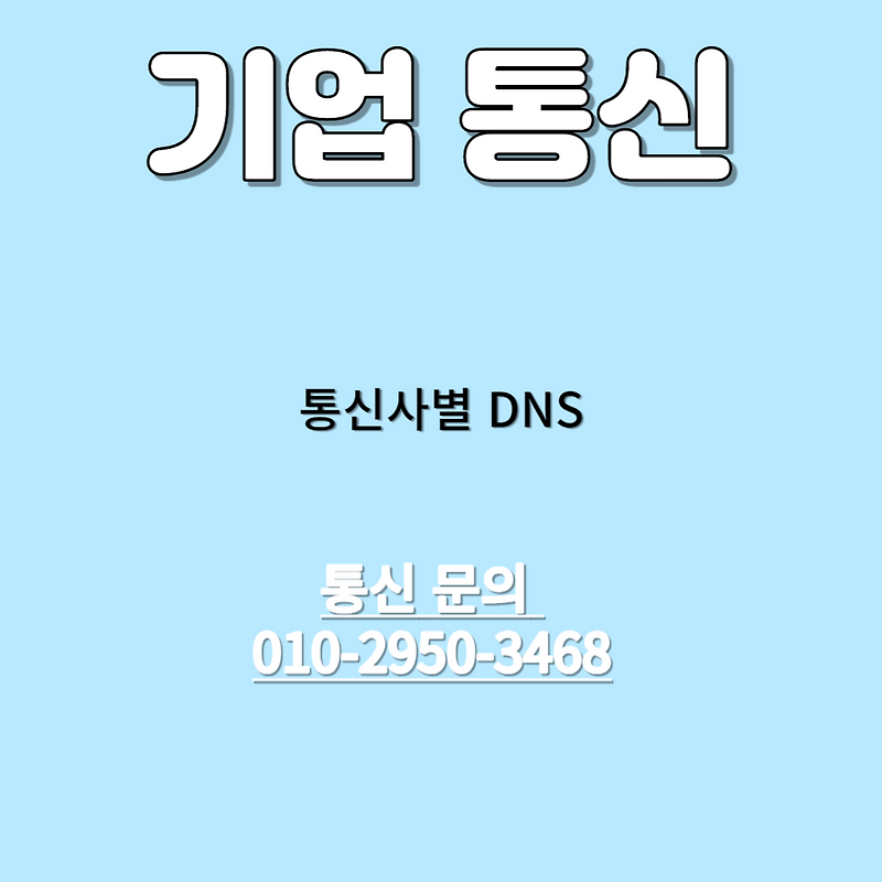  dns 