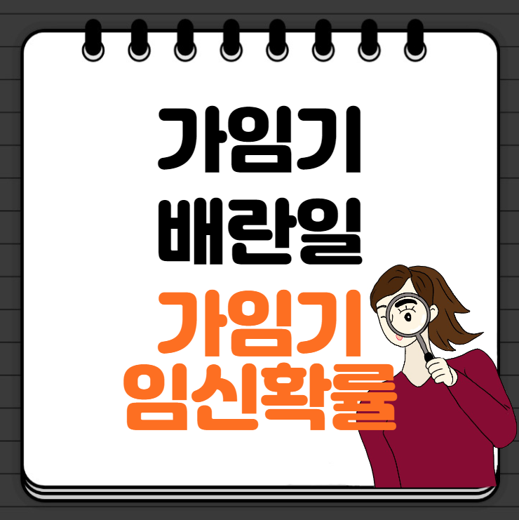 임신 가능한 가임기 계산, 배란일, 생리주기, 가임기(가임기간) 임신확율