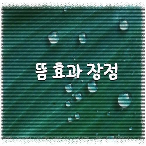 뜸 효과 장점